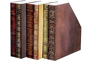 Bits and Pieces Magazine Organizers and Storage, Decorative Classic Books Themed Magazine Rack