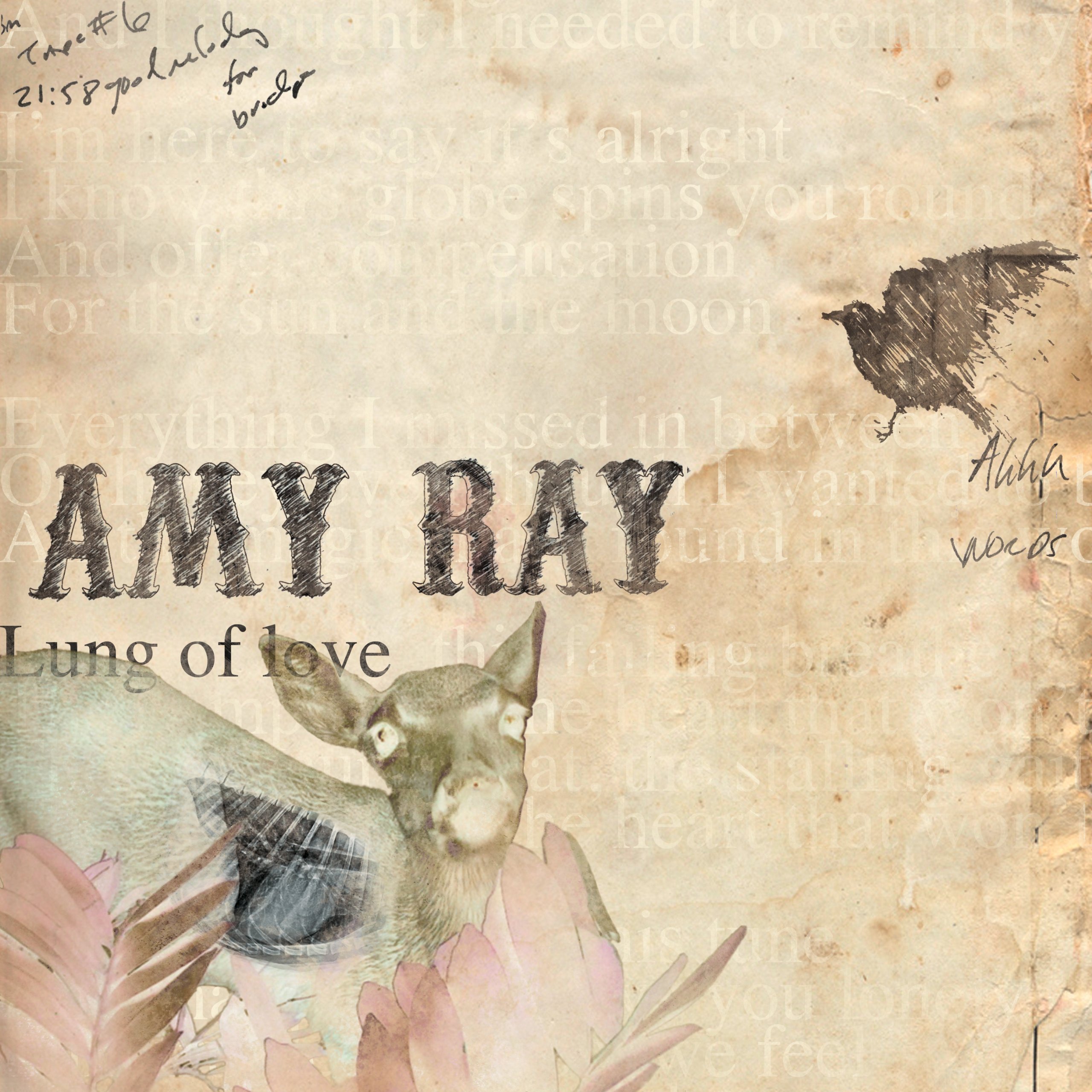 Lung Of Love [Vinyl LP] [VINYL]