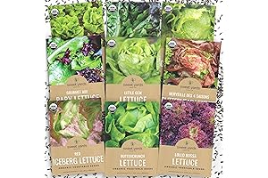 Lettuce Lovers' Certified Organic Sweet Baby Lettuce Seed Variety Pack