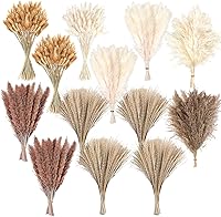 CKBT 300 PCS Dried Pampas Grass Bouquets - Boho Wedding Home Decor, Nursery Centerpieces, Natural Fluff Flowers for Living Room