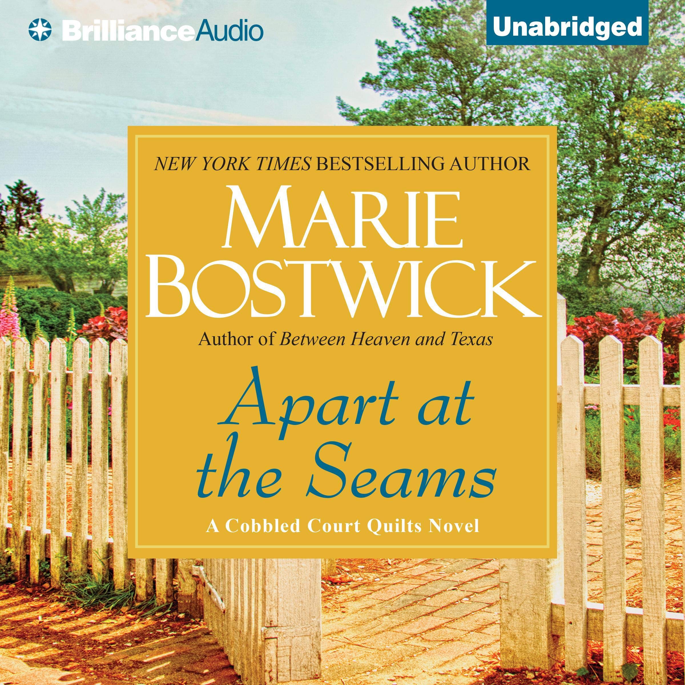 Cover art for Apart at the Seams