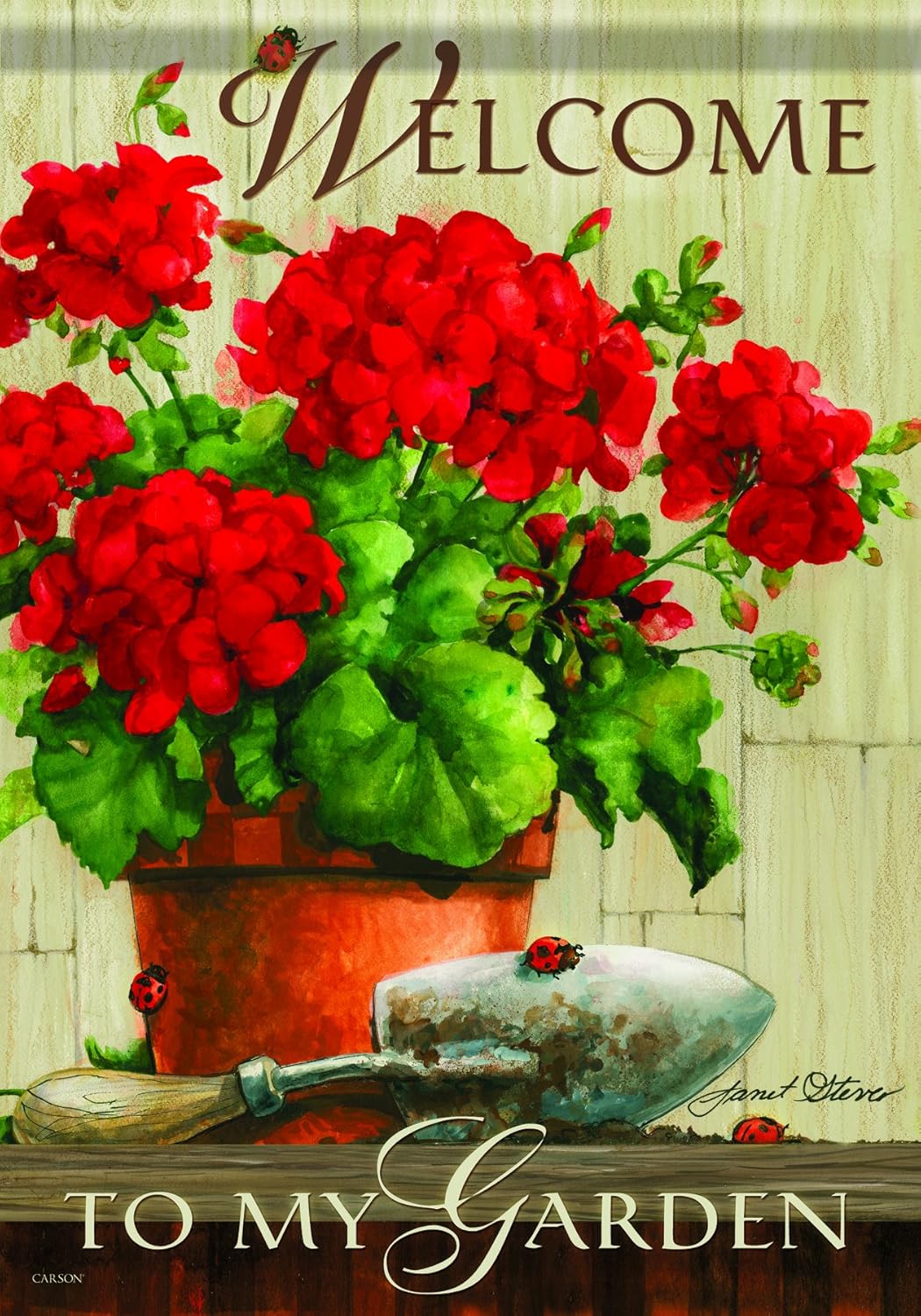 Carson Home Accents 28 by 40Inch FlagTrends Classic Flag