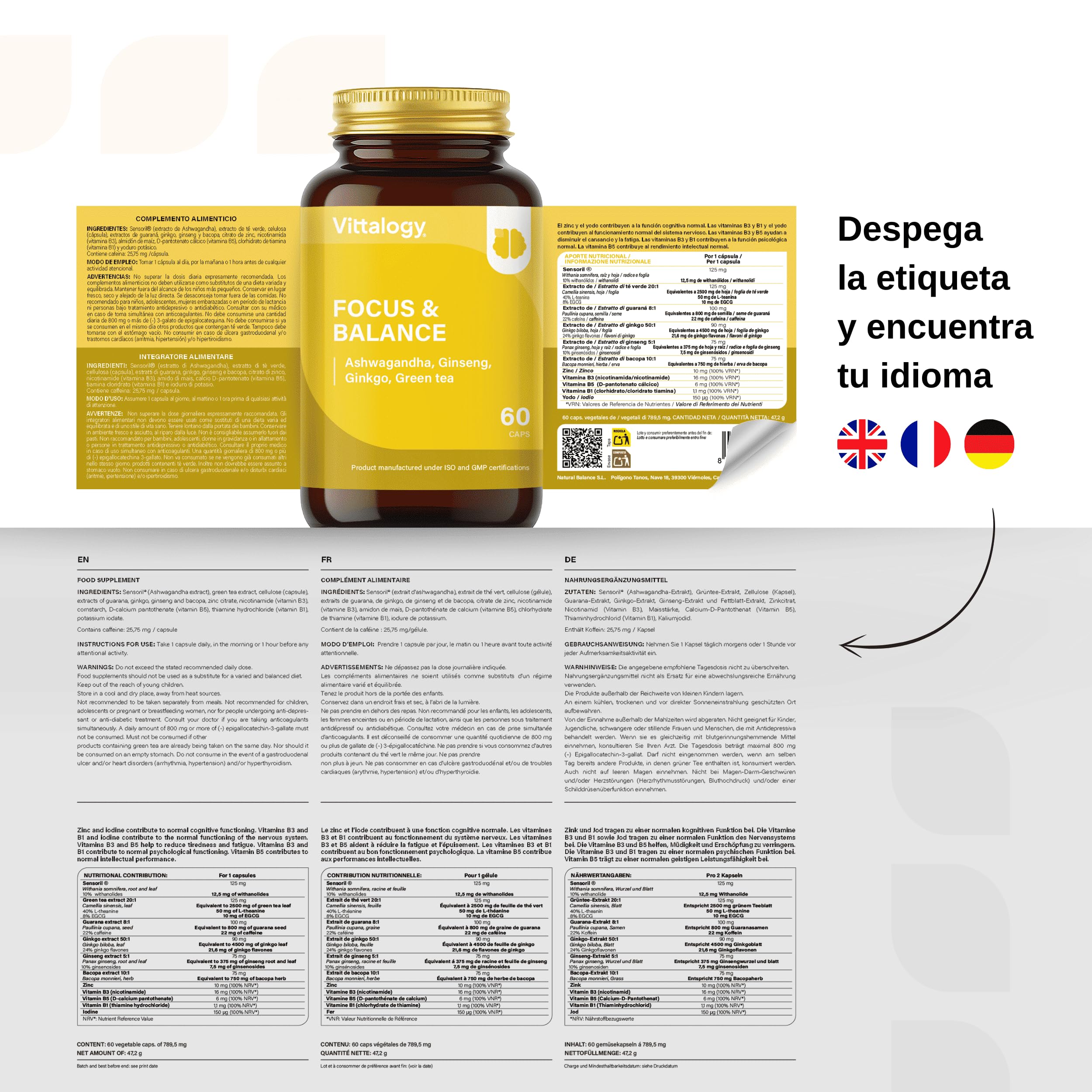 Focus & Balance Complemento Alimenticio Nootrópico con Ashwagandha Sensoril® para Memoria y Concentración. Suplemento de Té Verde, Ginseng y Vitaminas B3, B5 y B1 para Estudiar. 180 Cápsulas