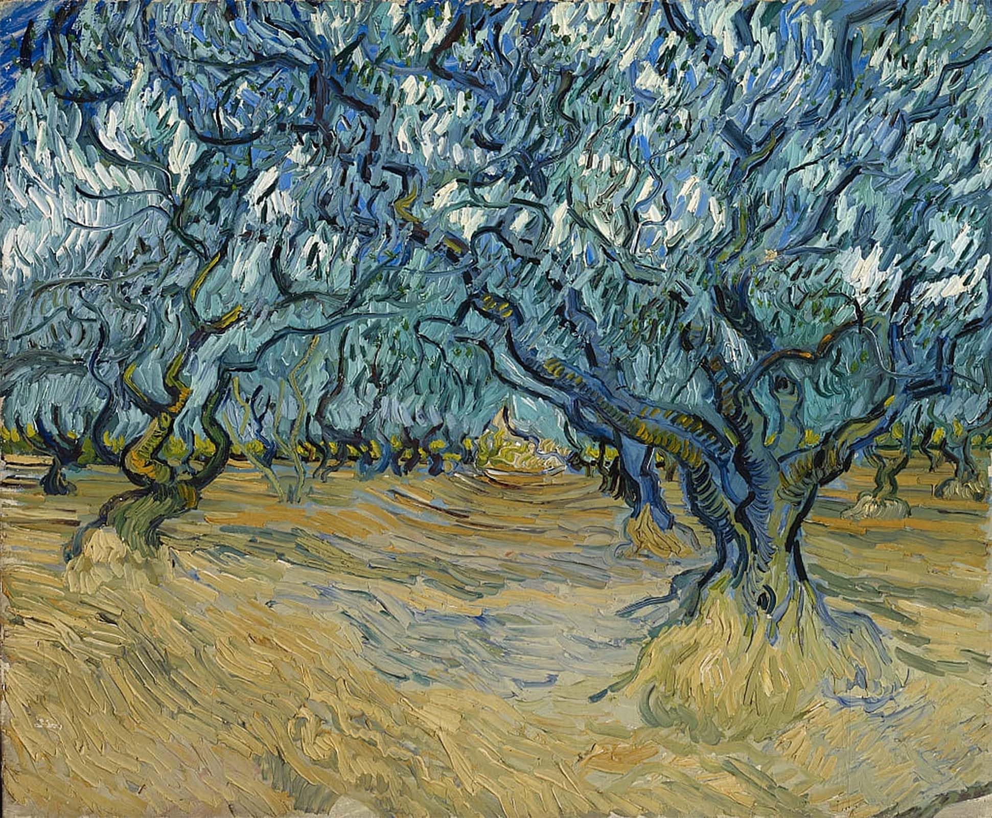 YIMACBJXX Famous Painting Modern Prints Decorative Paintings the Olive Grove Saint-rémy by Vincent Gogh Van Poster Painting Art for Home Decor 60x90cm