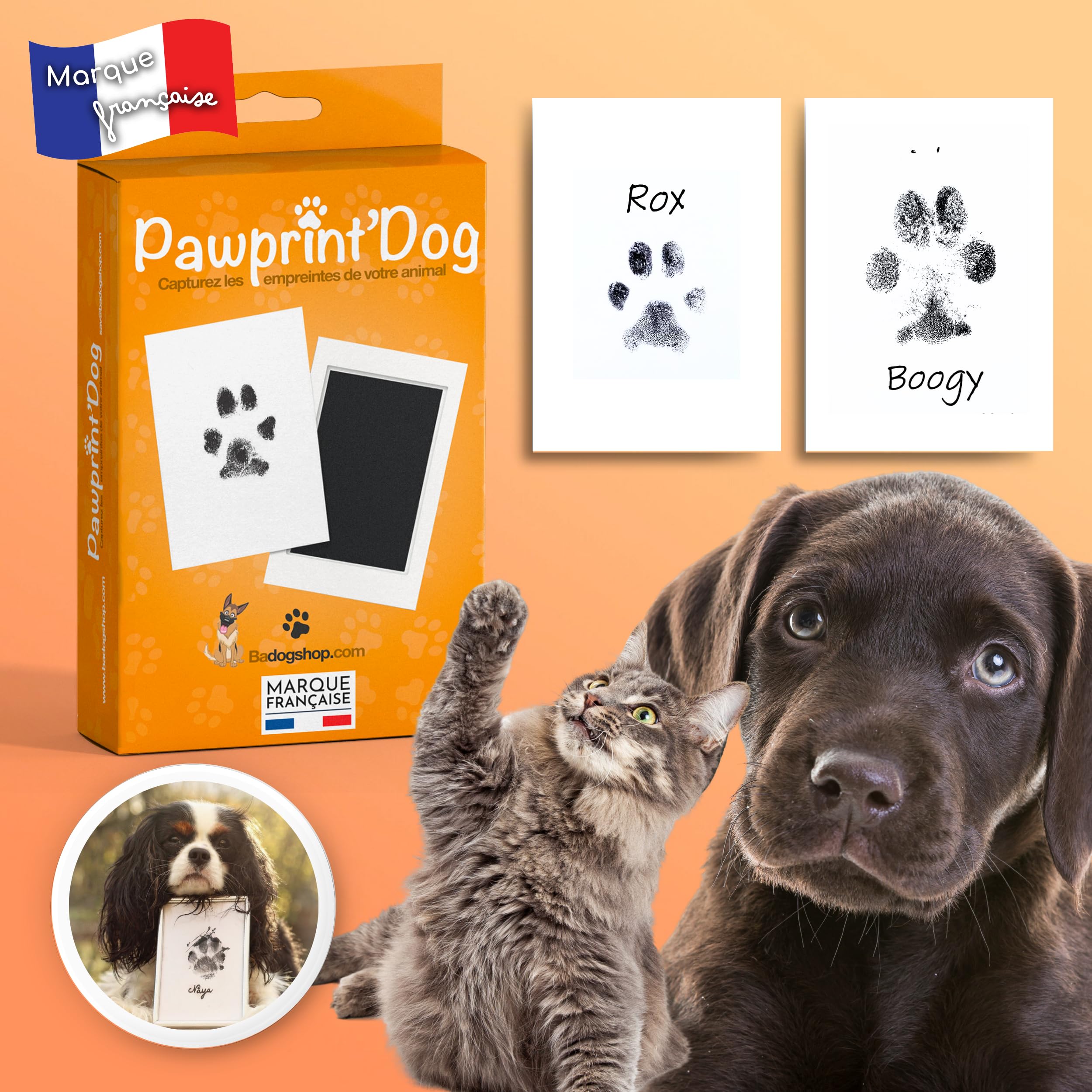 Kit Empreinte Chien, Tampon Encreur Patte Chien Et Chat, Souvenir Tatouage Et Cadre (Pawprint'Dog) Grande Taille 12,5x8cm