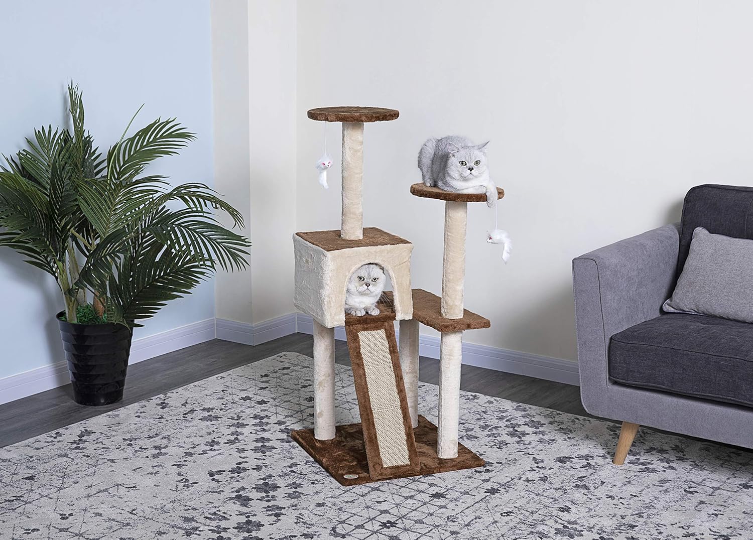 review Go Pet Club Everyday Value 44in Corner Cat Tree Kitty Scratcher Tower Kitten Condo House Furniture with Scratching Board & Hanging Toys for Indoor Cats, Beige/Brown
