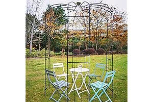 Garden Treasures Pergola: An Oasis for Botanical Grandeur
