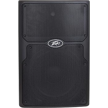 peavey pvxp 10