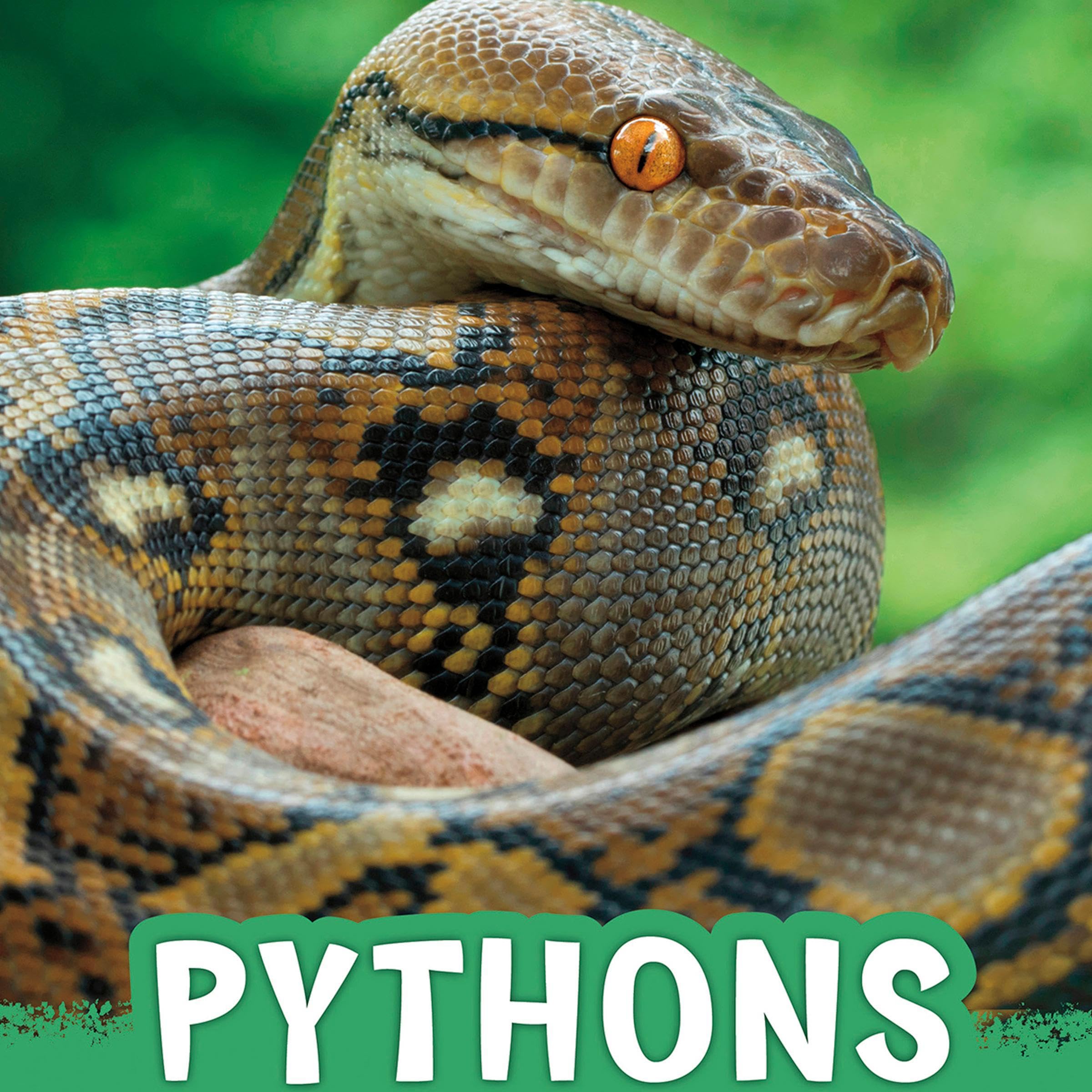 Pythons