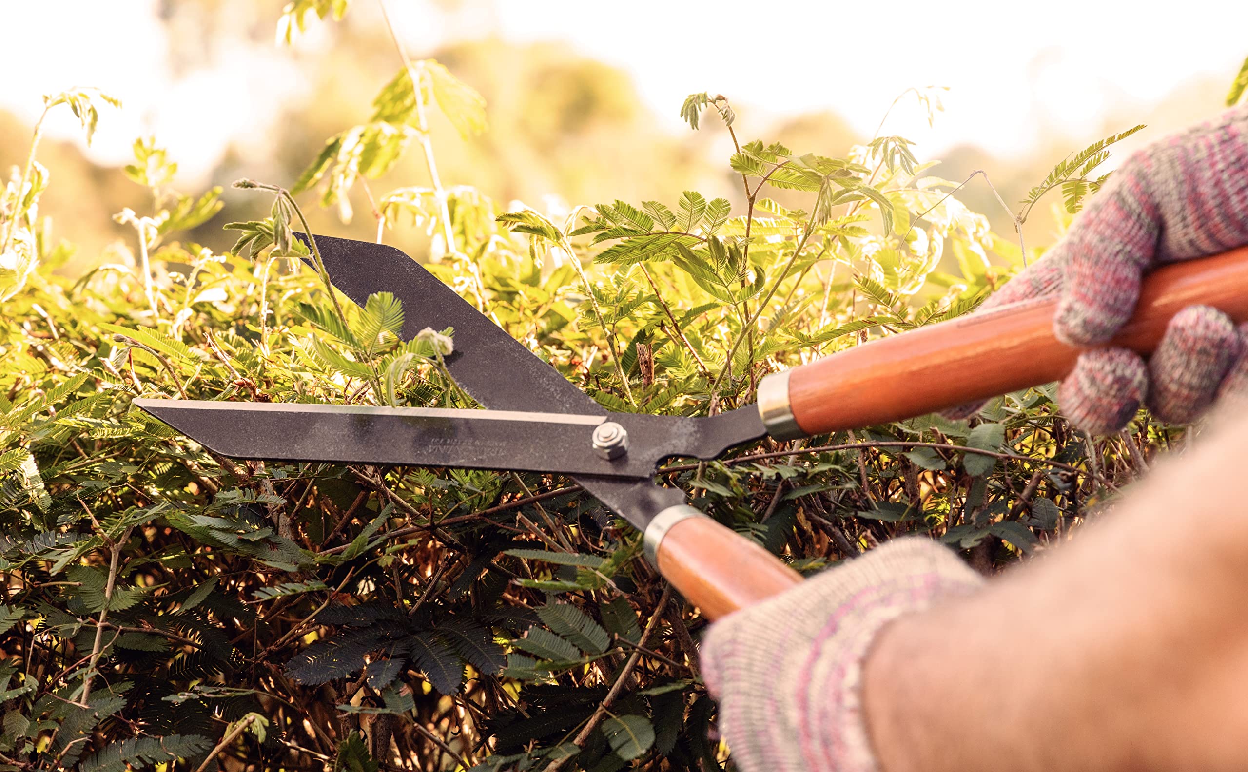 Fiskars Cesoie Per Erba GS41 - Leggere E Pratiche Per Potare Siepi E Prati, Design Finlandese - Foto 10