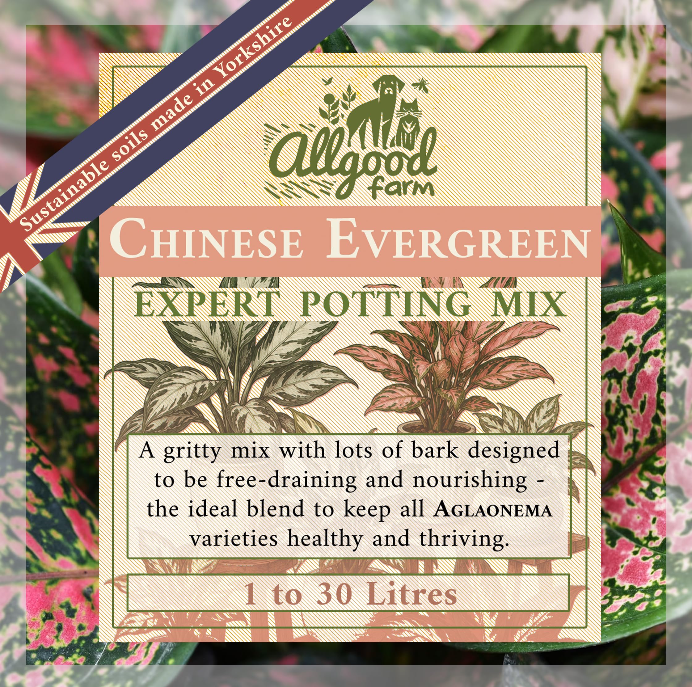 Allgood Farm Chinese Evergreen Soil - 1 to 30 Litres Aglaonema Expert Potting Compost Mix (10 Litres)