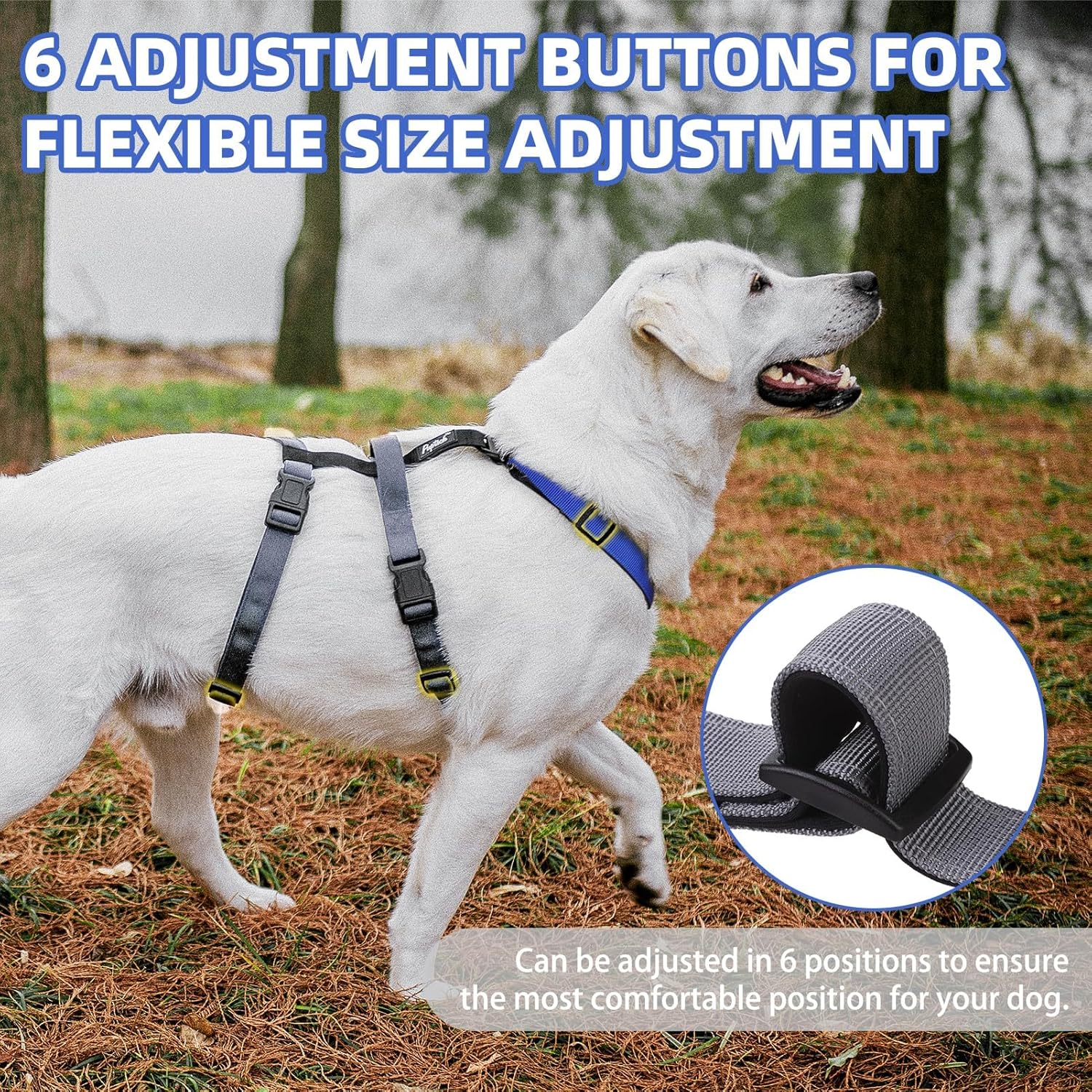 PUPTECK Escape Proof Dog Harness - No Pull Soft Padded Full Body Pet Halter Harness with Lift Handle for Small Medium Large Doggies Walking Hiking Hunting, Navy Blue & Grey, M