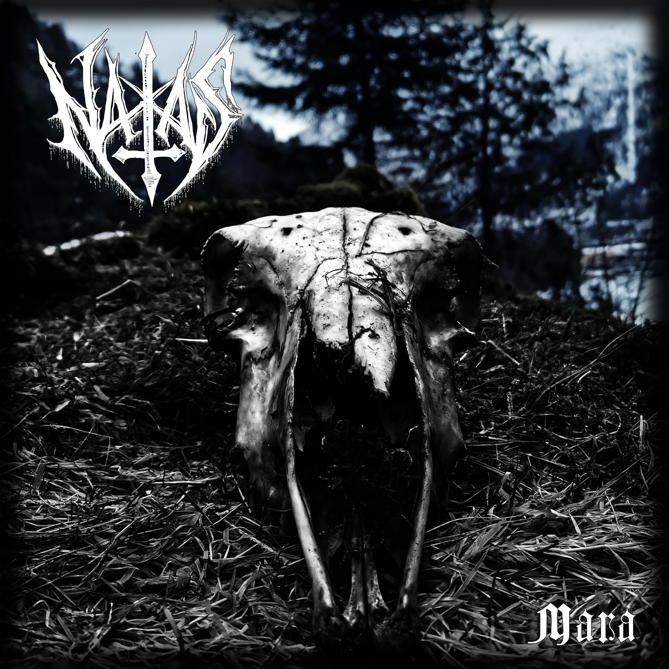 MARA