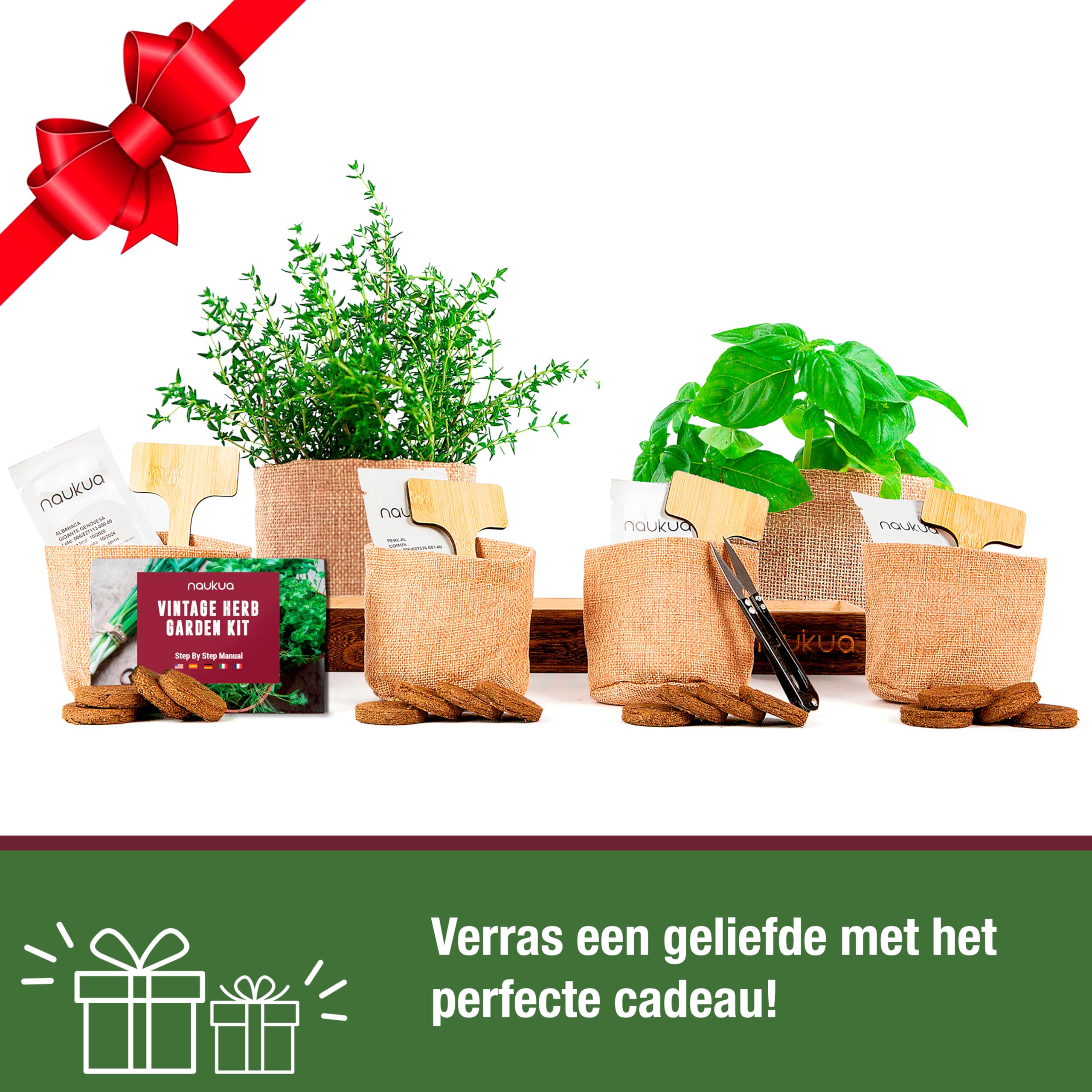 Salie, Basilicum, Peterselie En Munt, Die Op Wit Wordt Geïsoleerdo