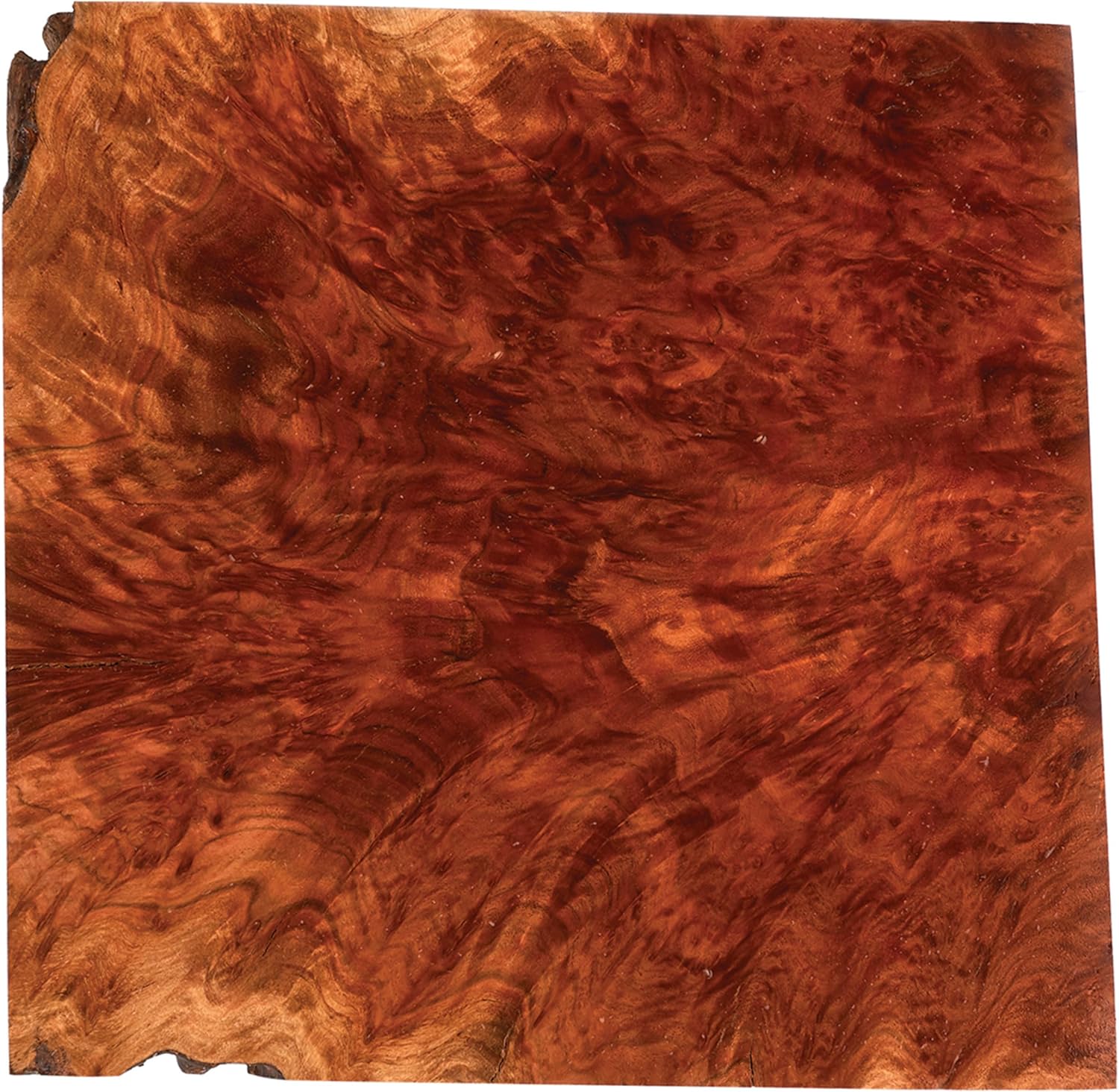 Woodcraft Australian Red Mallee Burl Slice 2Kg-4Kg 1-Piece
