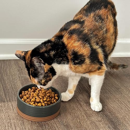 Miniatura 5 de Mora Tazón de cerámica para mascotas, tamaño pequeño, plato de comida y agua para cachorros, gatos, conejillo de indias, conejo, hámster, serpiente,