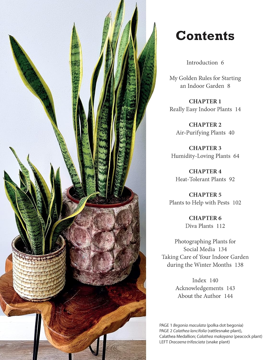 Beginner's Houseplant Garden: Top 40 Choices for Houseplant Success & Happiness (Creative Homeowner) User-Friendly Guide to Hardy Indoor Plants - Care, Display, Troubleshooting, Propagation, and More image 3