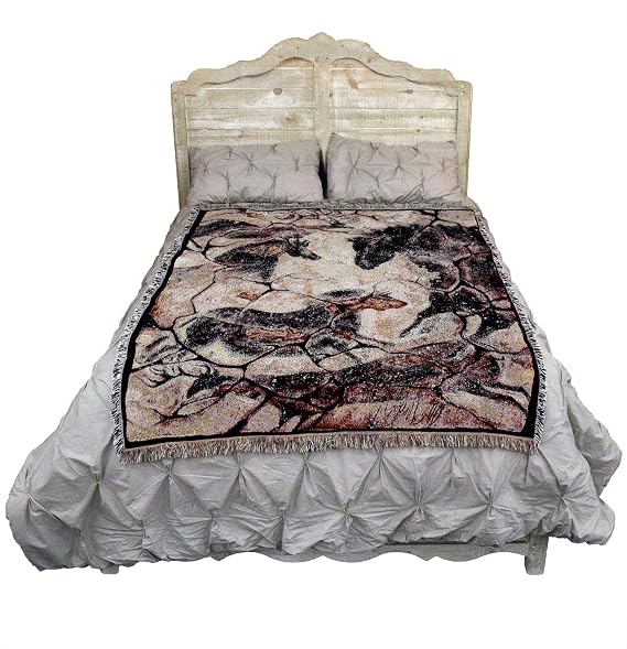 Pure Country Weavers Ancient Hall Blanket by Cecilia Henle - Southwest Cave Rock Art - Gift Tapestry Throw Woven from Cotton - Made in the USA (72x54)