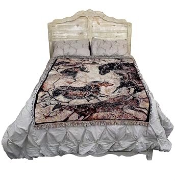 Pure Country Weavers Ancient Hall Blanket by Cecilia Henle - Southwest Cave Rock Art - Gift Tapestry Throw Woven from Cotton - Made in the USA (72x54)