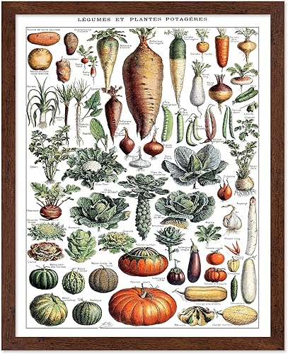 Miniatura 224 de Poster Master Póster vintage de orquídea, estampado de flores retro, arte de pared de plantas exóticas, arte botánico, regalo para hombres y