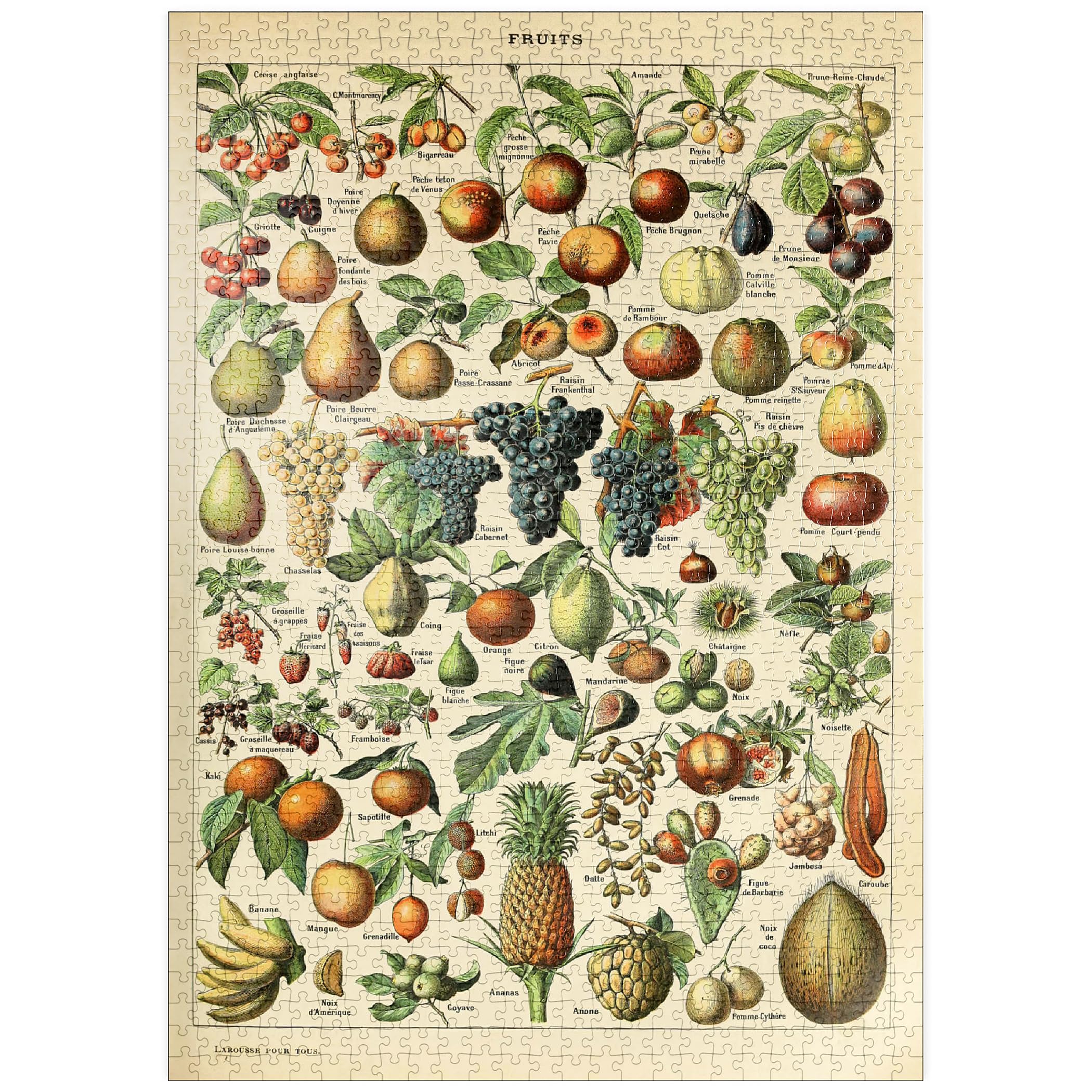 Fructus, Fruits for All Vintage Art Poster, Adolphe Millot, Premium 1000 pieces Puzzle