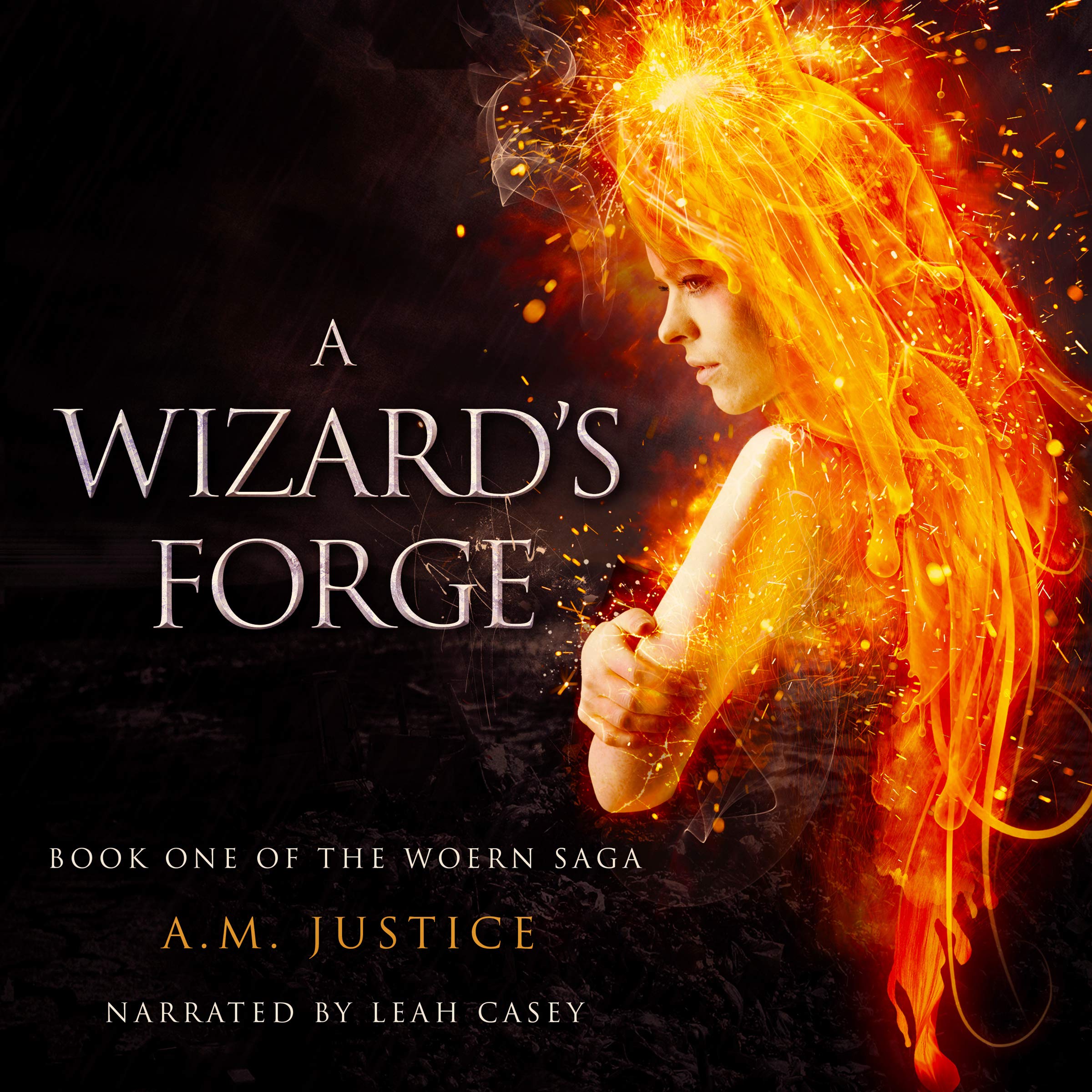 Cover art for A Wizard's Forge