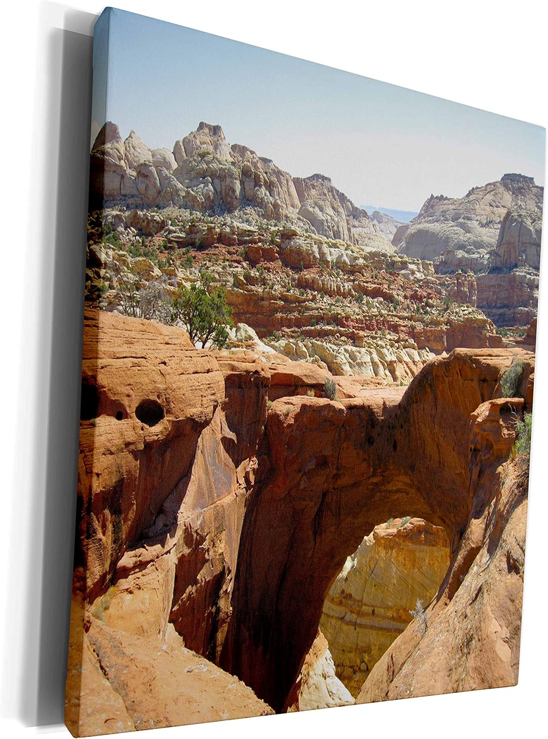 Cassidy Arch Looking - Museum Grade Canvas Wrap Kuwait | Ubuy