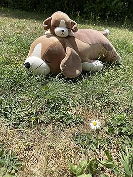 Livly  ［激レア］札幌限定 白ピグミー シリアル&タグつき BABY,THE STARS SHINE BRIGHT / いちごケーキなうさくみゃ