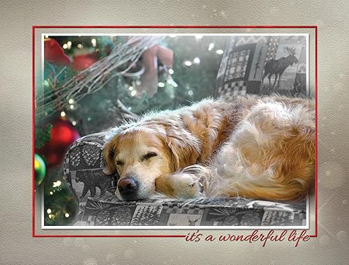 Team Husar Golden Retriever - 15 tarjetas navideñas para perros, 16 sobres blancos (corona de oso - Navidad) disponible en Yaxa Guatemala