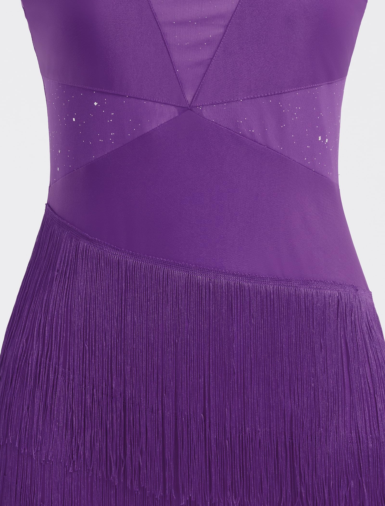Glitzerndes Quasten-Latein-Tanzkleid für Damen, Neckholder, asymmetrisch, Fransen, Flapper-Kleid, Netzstoff, Salsa, Tango, Ballsaal, Tanzkostüm
