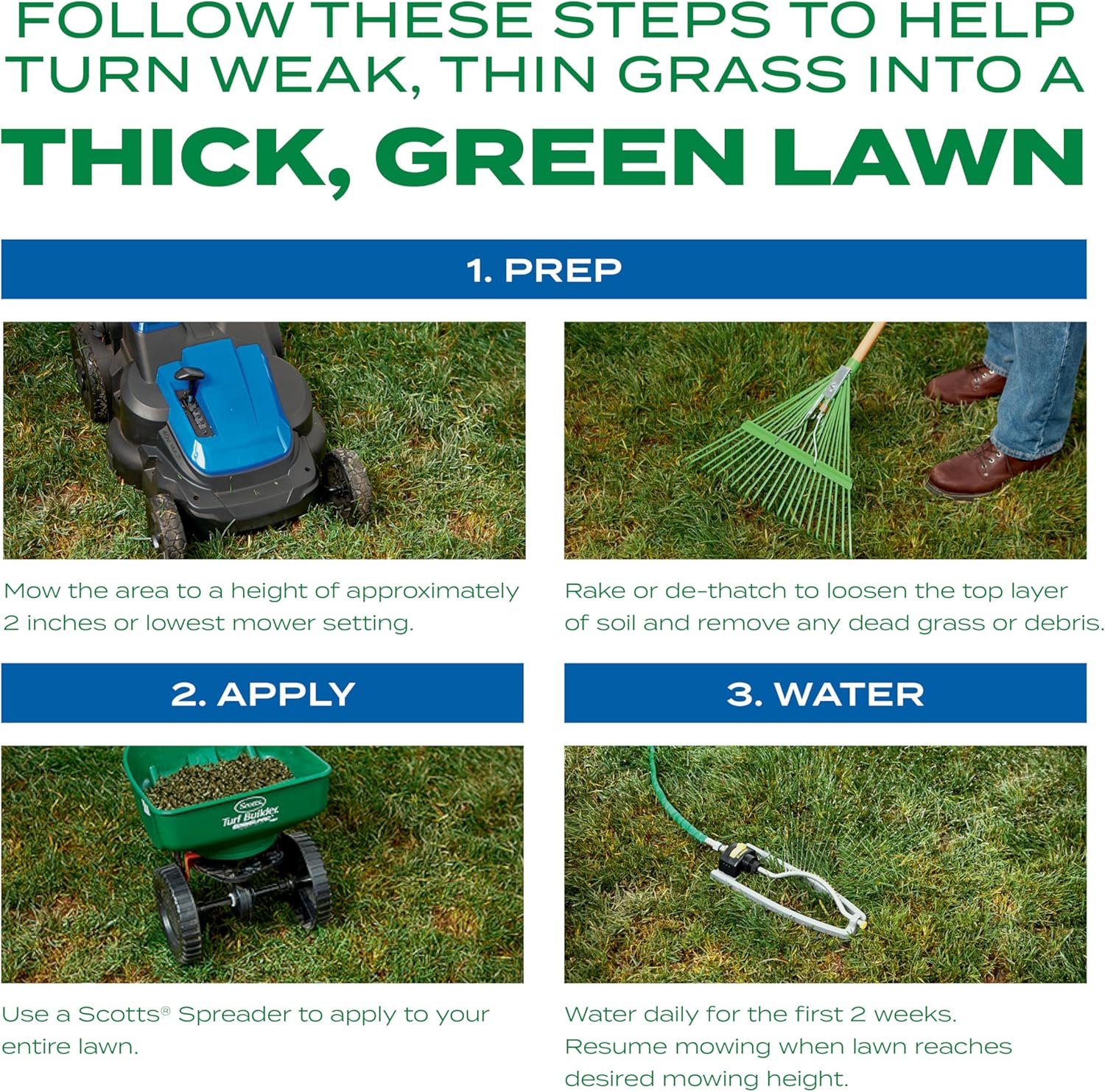 Scotts Turf Builder Thick'R Lawn Sun and Shade, Combination Seed, Fertilizer and Soil Improver, Thickens Thin Grass, 40 lbs.