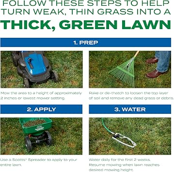 Scotts Turf Builder Thick'R Lawn Sun and Shade - Combination Grass Seed, Lawn Fertilizer and Soil Improver, Thickens Thin Grass, Covers 1,200 sq. ft., 12 lb.