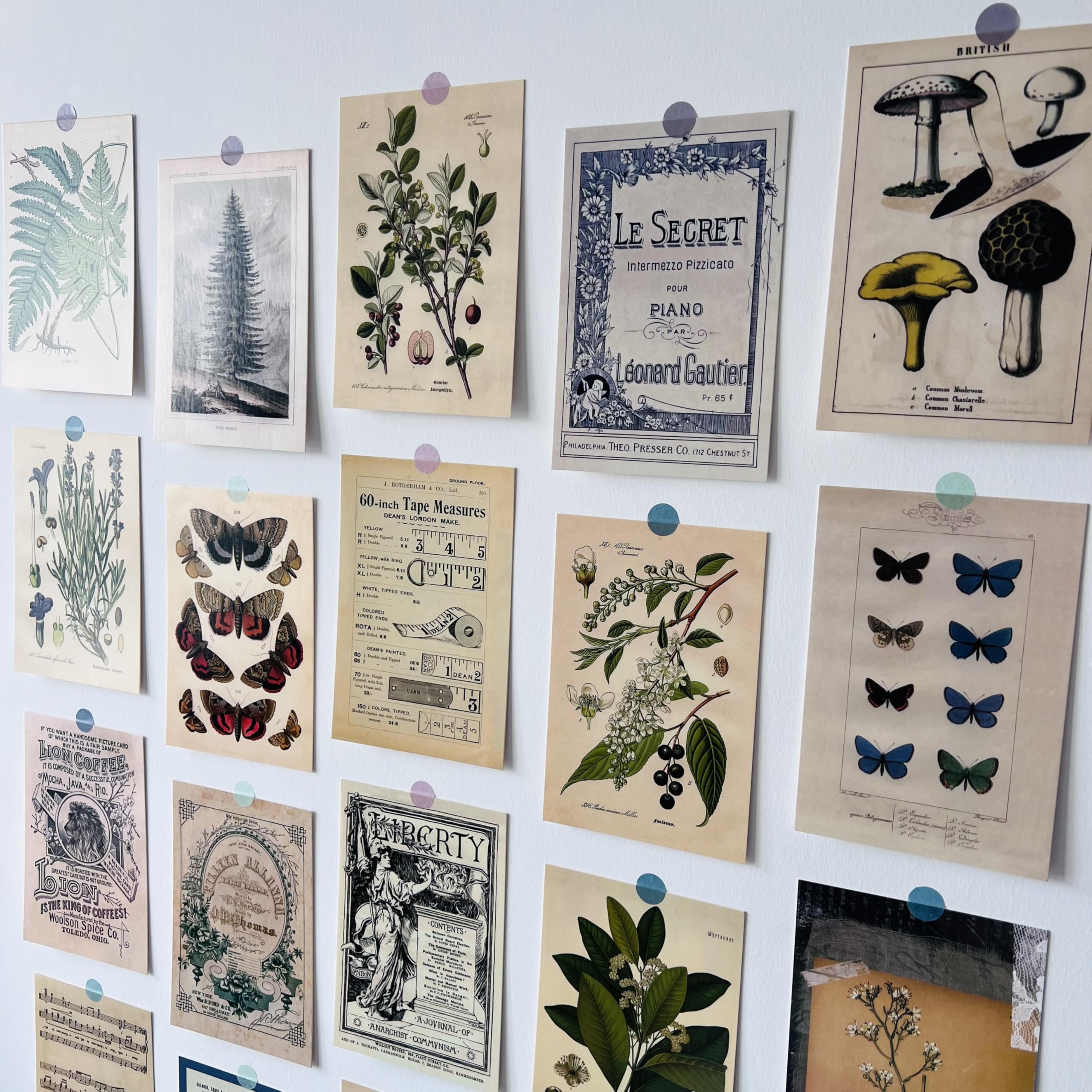 レトロ　自然　ポストカード　セット Amazon.com : REMIFA Vintage Postcard Set - 30 pcs 4x6 Inch