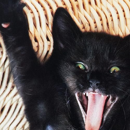 Miniatura 4 de Hallmark Paquete de divertidas tarjetas de cumpleaños, gato emocionado (6 tarjetas de cumpleaños con sobres)