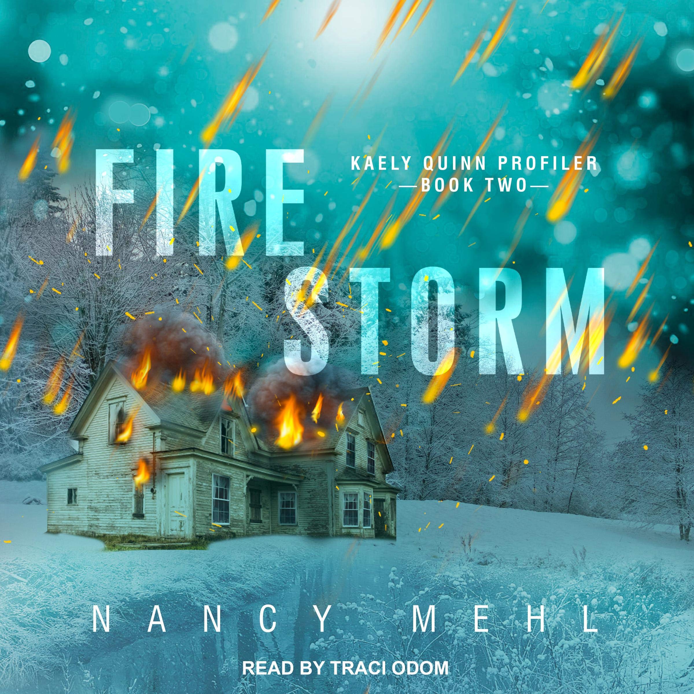Cover art for Fire Storm