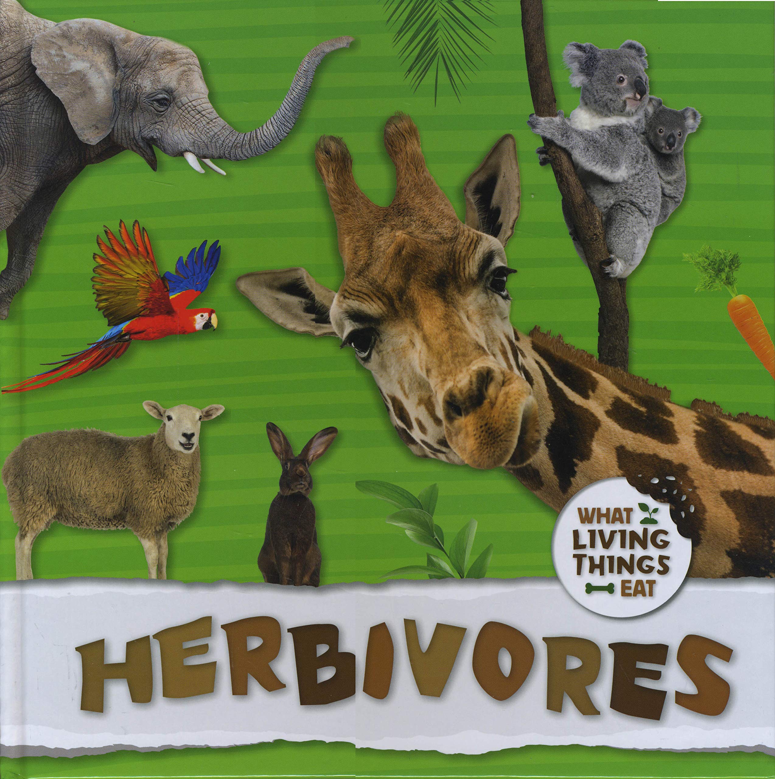 Herbivores by Robin Twiddy HARDBACK 9781786374653