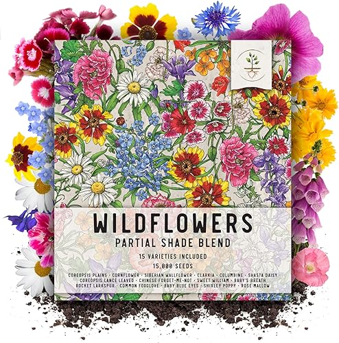 Seed Needs, Paquete a granel 15,000 semillas, mezcla de flores silvestres que atraen mariposas (99% semillas vivas puras, sin relleno) bienal anual