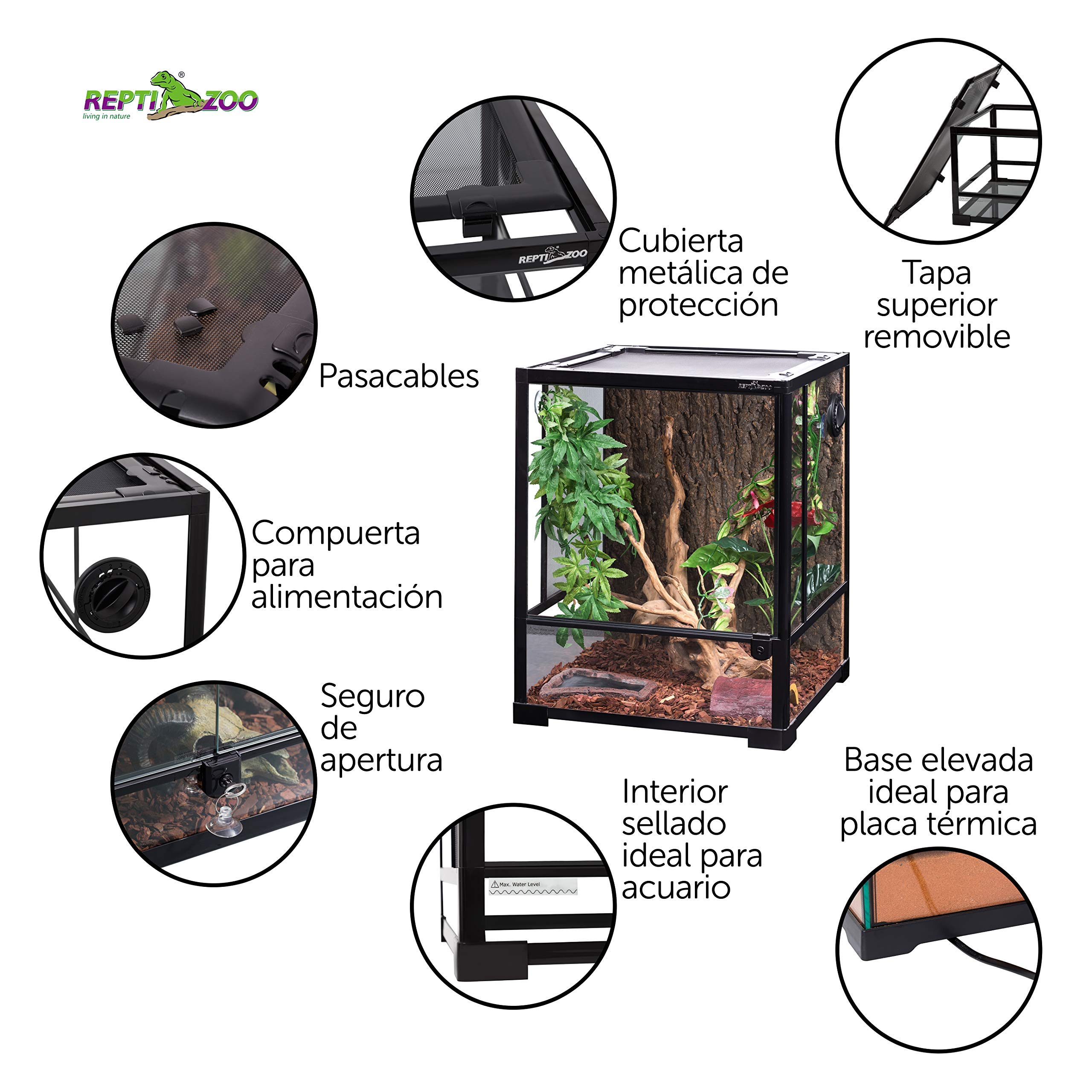 ReptiZoo Terrario de Cristal 45 x 45 x 60 cm con Puerta giratoria, Desmontable. RK0110NS (sin Contenido).
