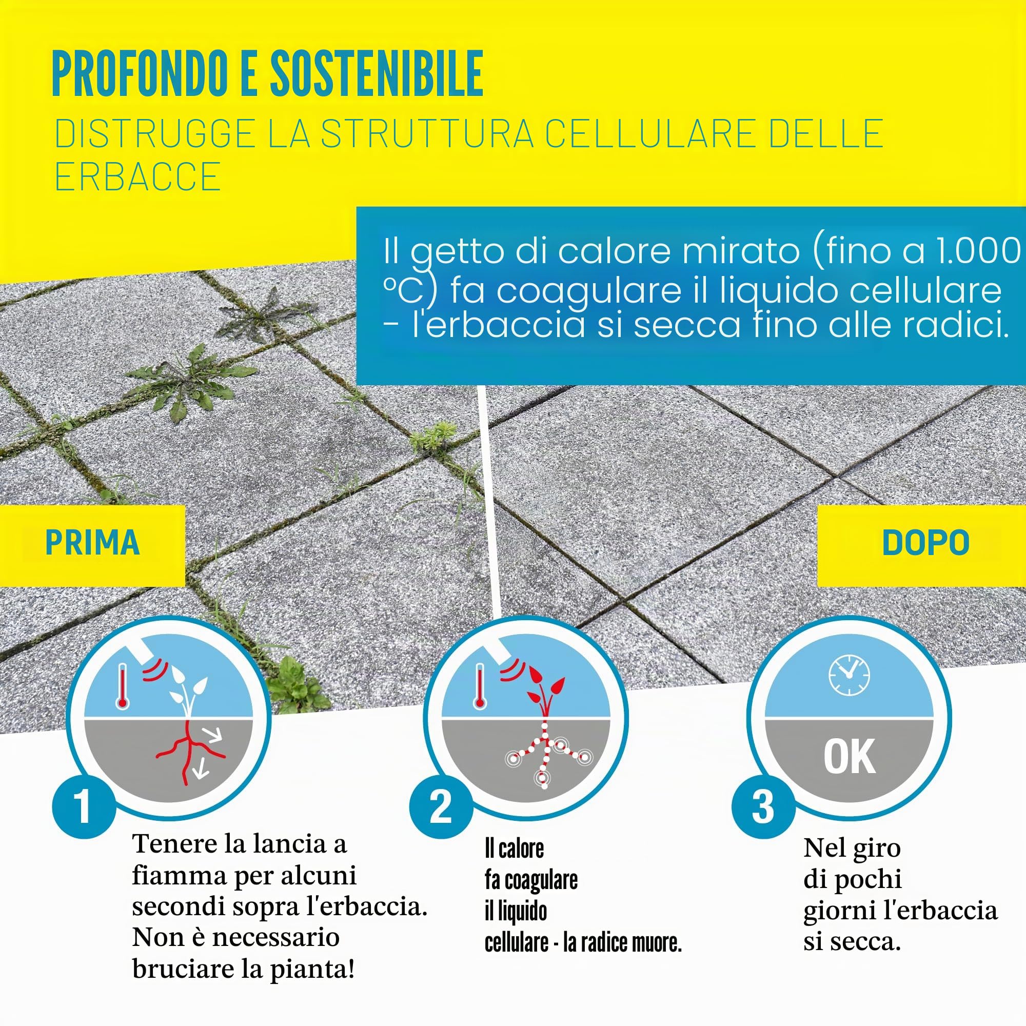 Gloria Thermoflamm BIO Professional Plus Set - diserbante Gas | Potente & Durevole | per Grandi Aree | Collegamento bombola Gas compresso | per Giardino e marciapiedi Senza Erbacce