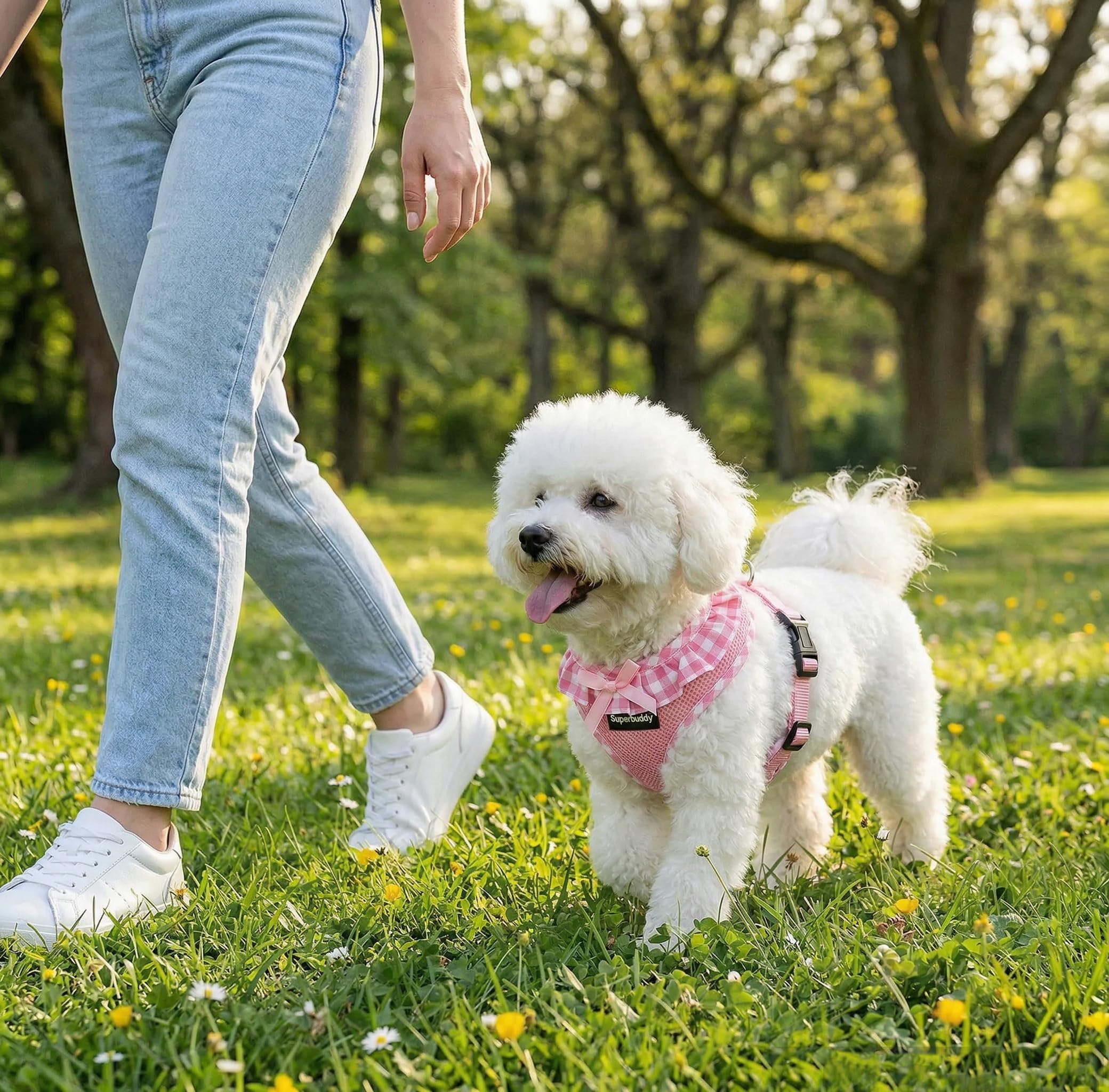 Arnés para perros pequeños