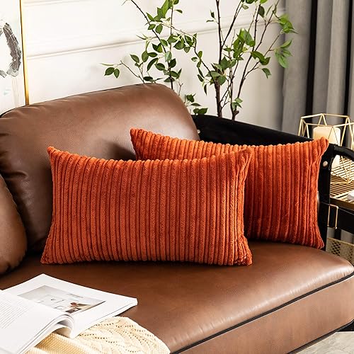 Miniatura 672 de UGASA - Juego de 2 fundas de almohada de terciopelo a rayas, funda decorativa para cojín con cremallera oculta para el hogar, sofá, dormitorio,