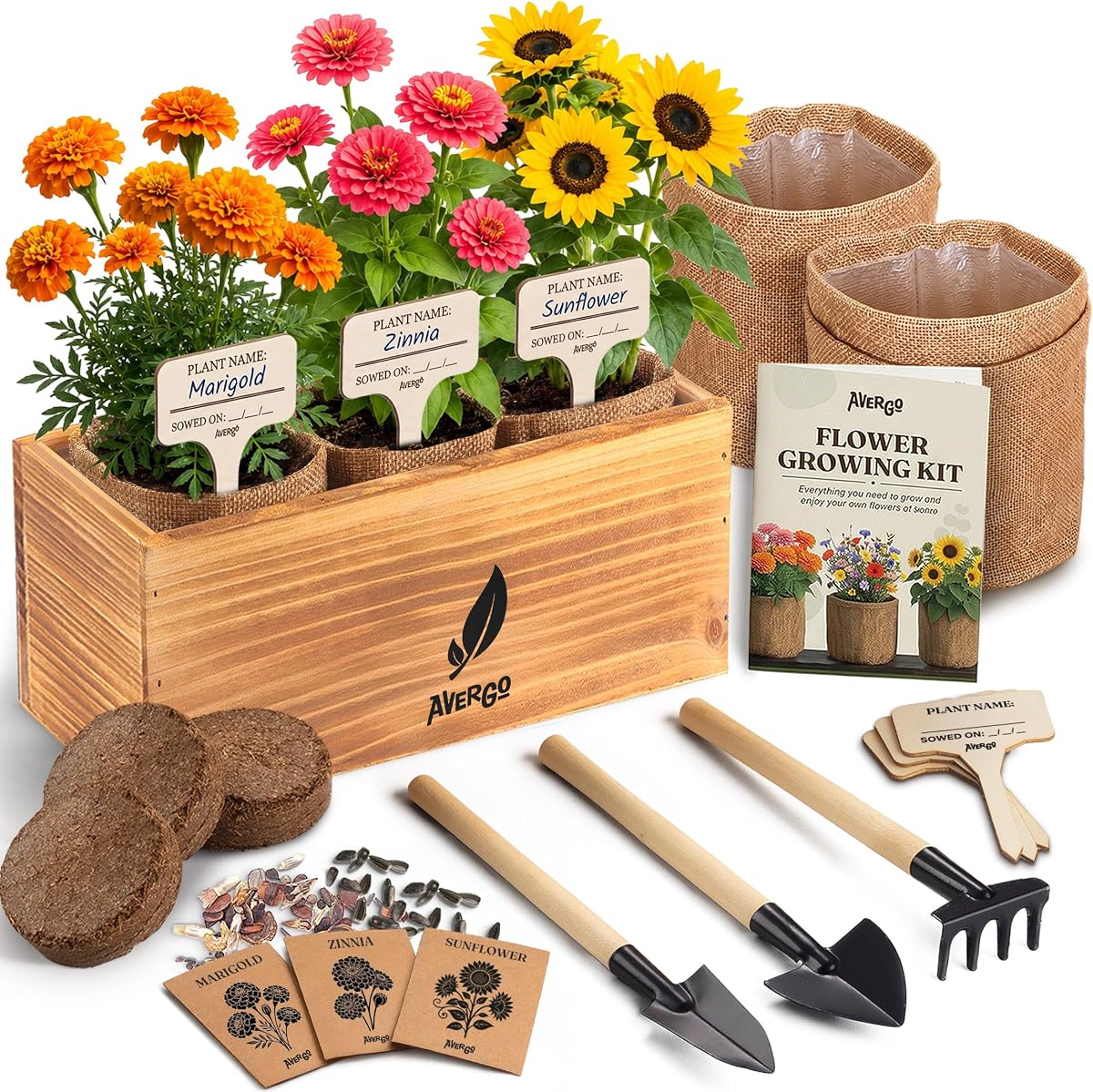 Flower Seeds Growing Kit - Complete Indoor Plant Set | Complete Indoor & Outdoor Kit with Seeds for Planting, Planters, Soil, Tools, Instructions