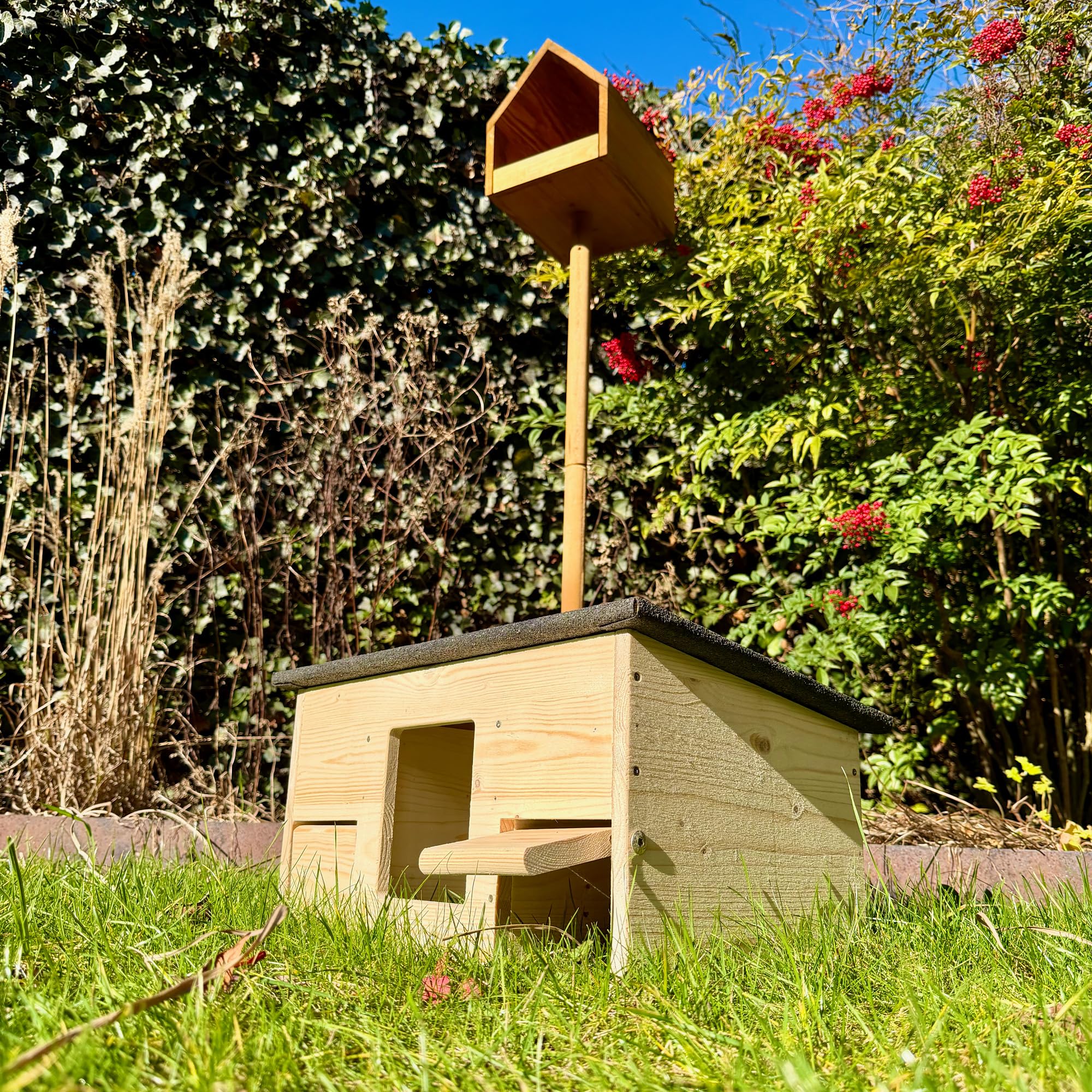 gartenetage Igelfutterhaus mit Beobachtungsfenster & Rattenklappen aus Holz – Sicheres Igelhaus für Garten mit Schleuse, Fluchtweg & Wetterschutz – Robuste Futterstation für Igel ganzjährig