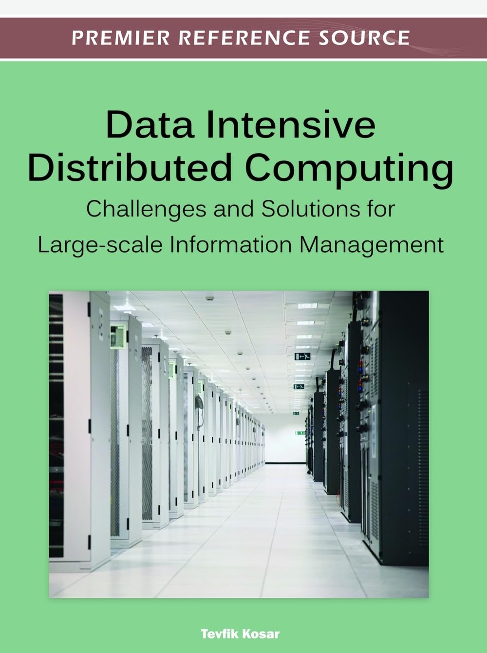 Buy Data Intensive Distributed Computing: Challenges and Solutions for ...