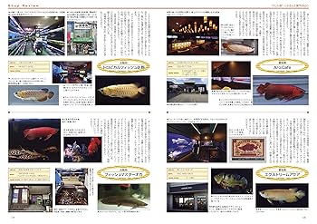 怪魚飼育マガジン GIGAS(ギガス) vol.04 |本 | 通販 | Amazon