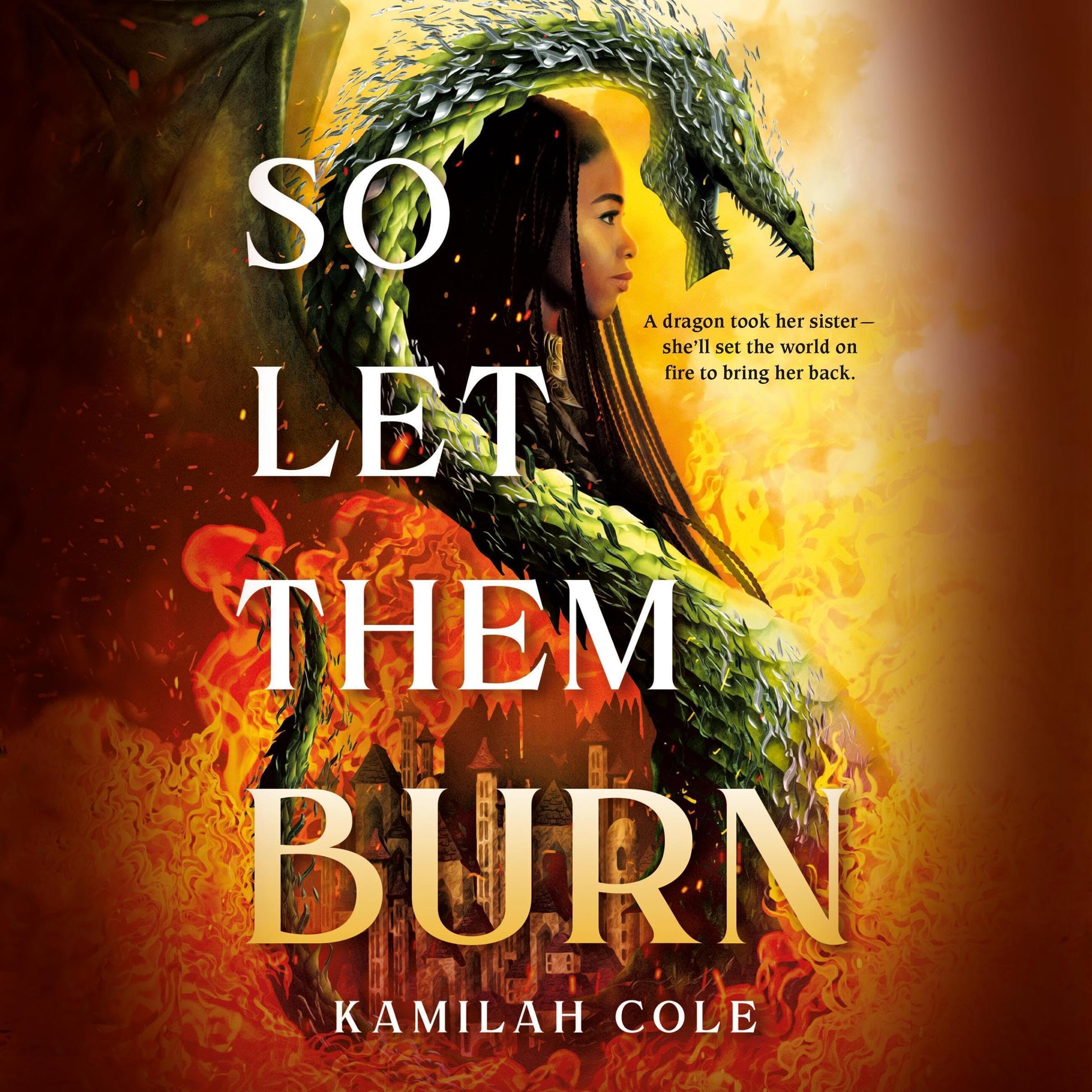 Cover art for So Let Them Burn