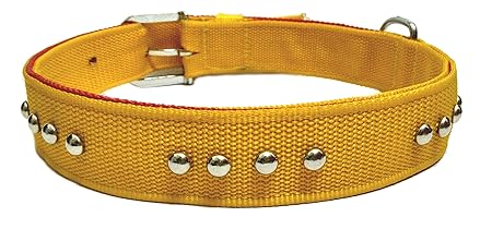 Sollar's Stud Durable Dog Collar Belt, Yellow, Extra Large