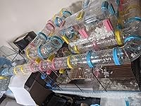 Review Image by Rebecca Rebecca