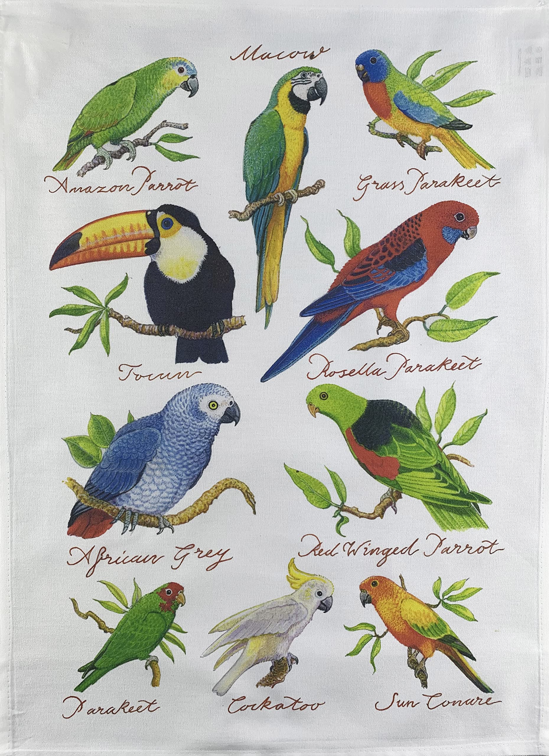 Half a Donkey Hand Drawn Tropical Birds Collection Large Cotton Tea Towel
