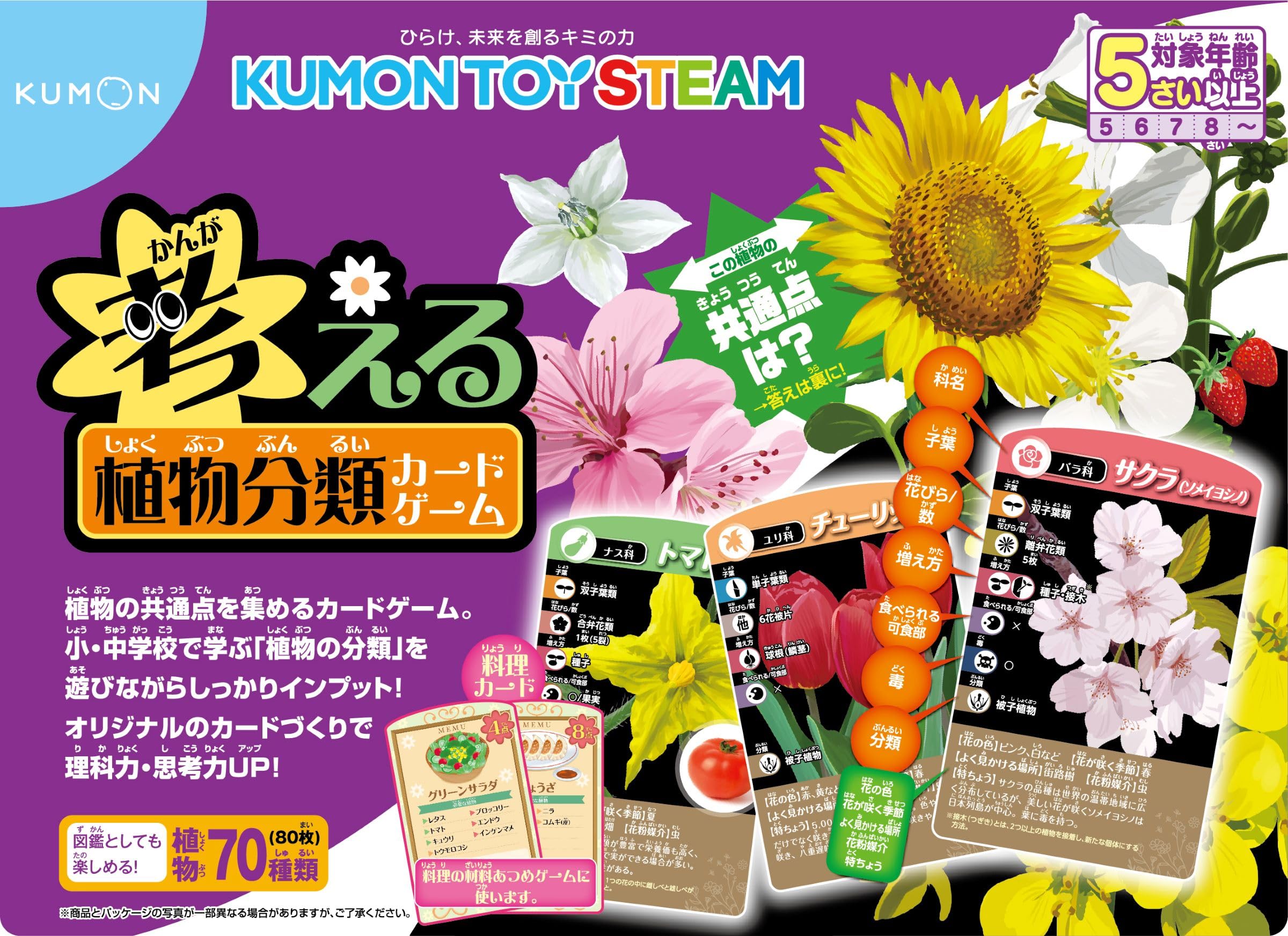 Amazon.co.jp: 考える植物分類カードゲーム (KUMON TOY STEAM) : 本